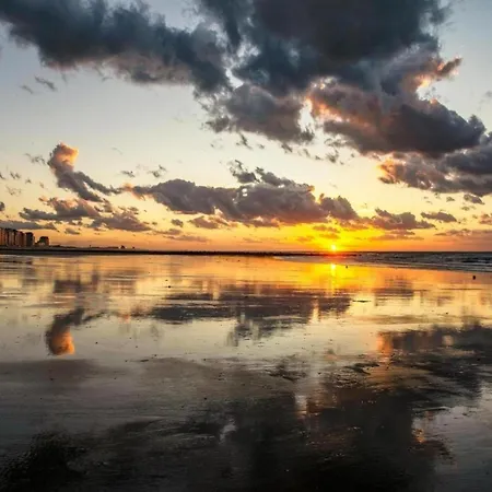 In Near Sandy Middelkerke